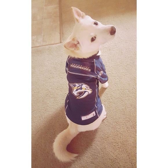 Meet your Posher, Rita - Picture 3 of 3